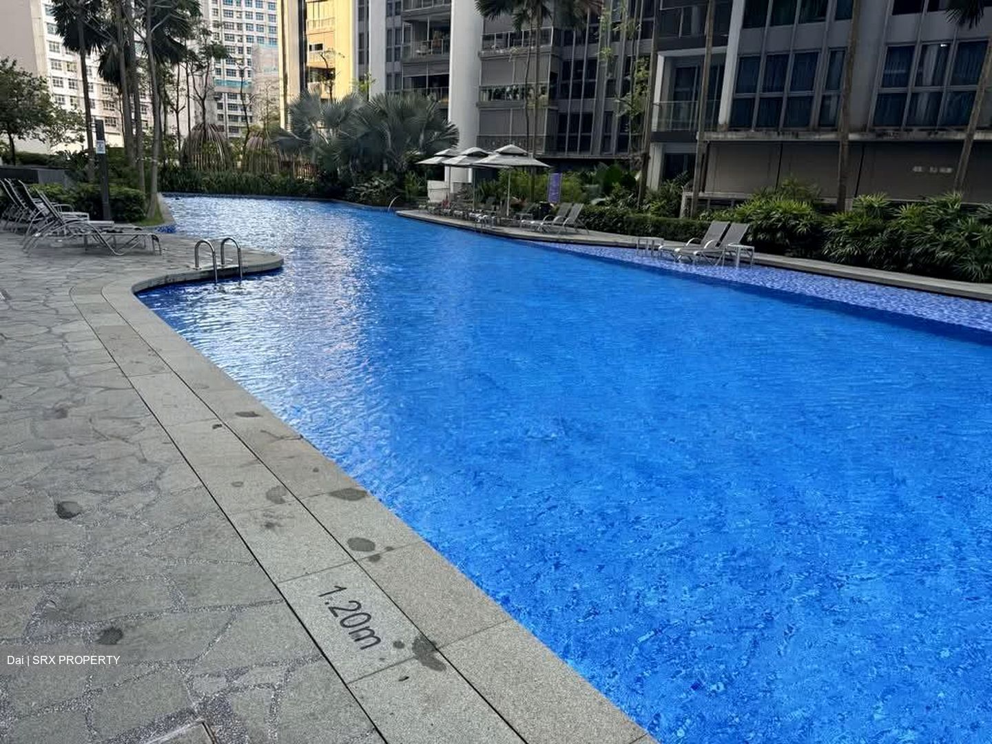 Bartley Ridge (D13), Condominium #572193061